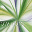 Nexoria Logo